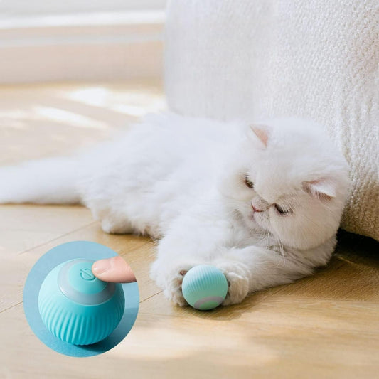 Smart LED 360 rotating cat toy ball interactive rechargeable pet toy